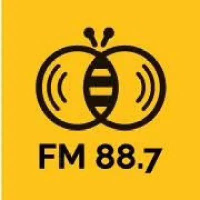 Live streaming Soomba