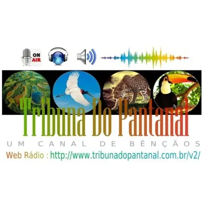 Live streaming Tribuna Do Pantanal