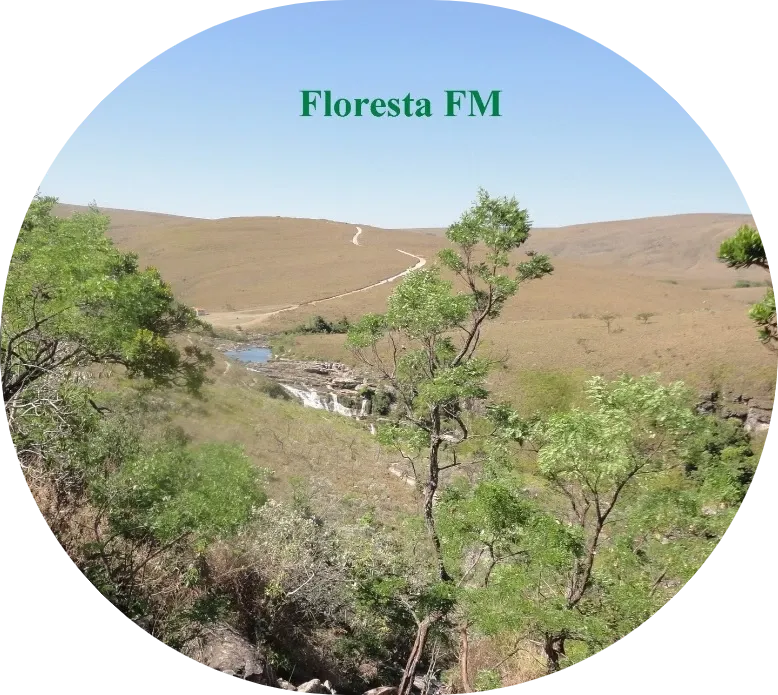 Radio Floresta