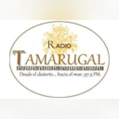 Live streaming Radio Tamarugal