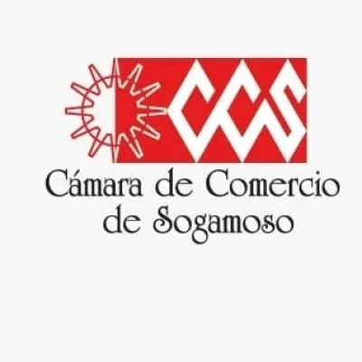 Live streaming Cámara Stereo