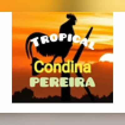 Live streaming Condina Tropical Pereira