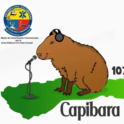 Live streaming Capibara Stereo
