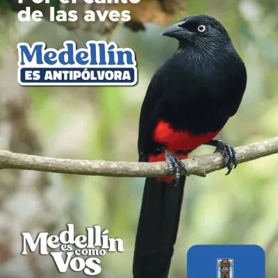 Live streaming La Palmiteña Stereo