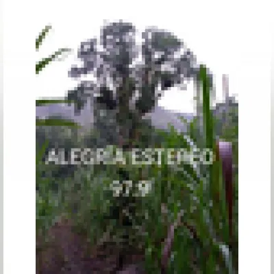 Live streaming Alegria Estereo 97.9