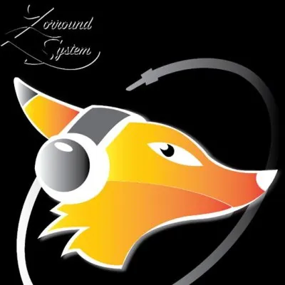 Live streaming Zorround System