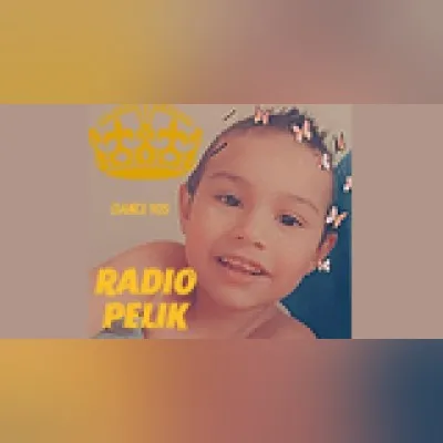 Radio Pelik