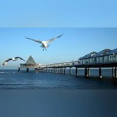 Live streaming Baschepen