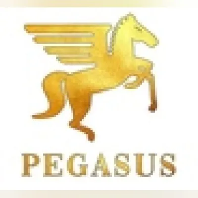 Pegasus Radio - Denmark