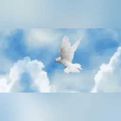 Live streaming Radio Empuje Final