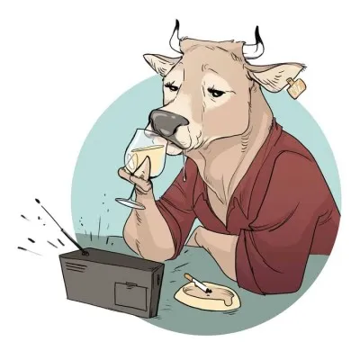 Live streaming La Radio des Locaux