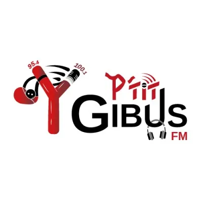 Live streaming P'tit Gibus FM
