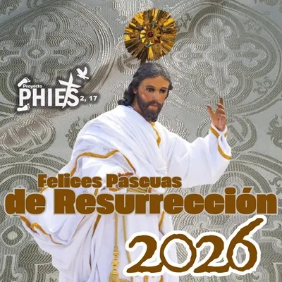 Live streaming Proyecto PHIES 2,17