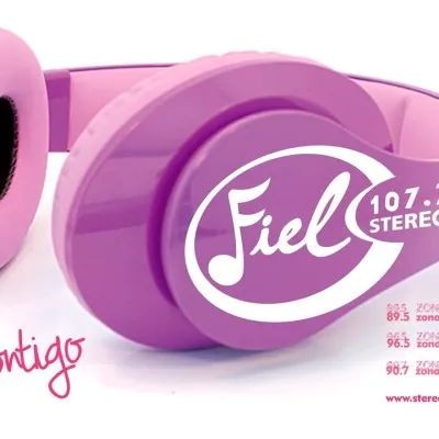 Live streaming Stereo Fiel