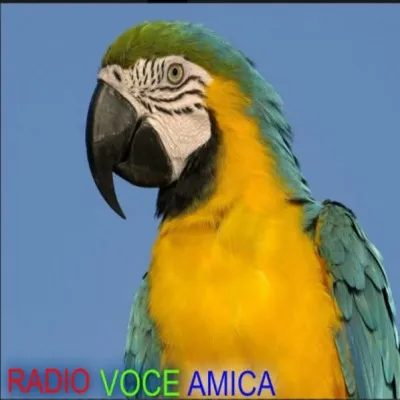 Live streaming Radio Voce Amica