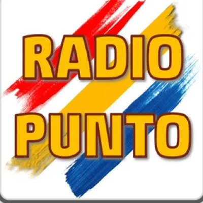 Live streaming Radio Punto Disco & Dance