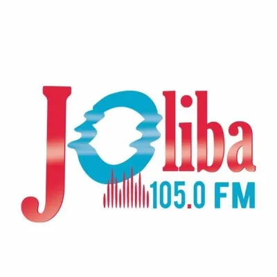 Joliba105.0 FM