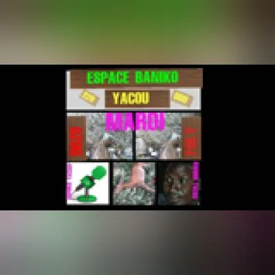 Live streaming Radio Espace Baniko Yacou