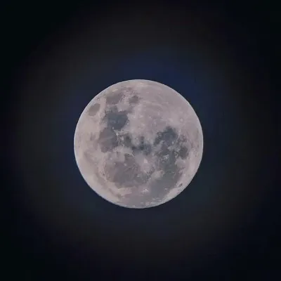 Live streaming EL PATRON S,G