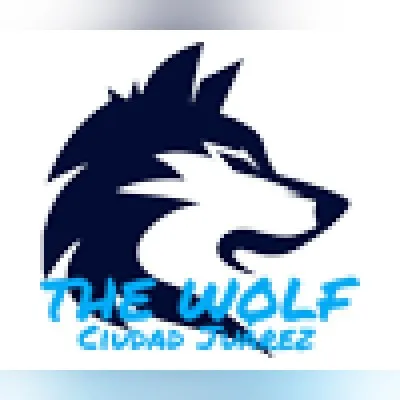 Live streaming The Wolf