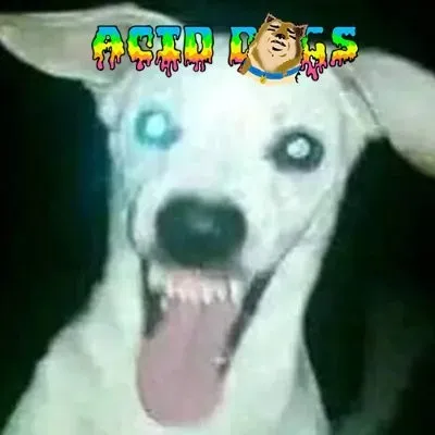 Live streaming The Acid Station Of The Dogs