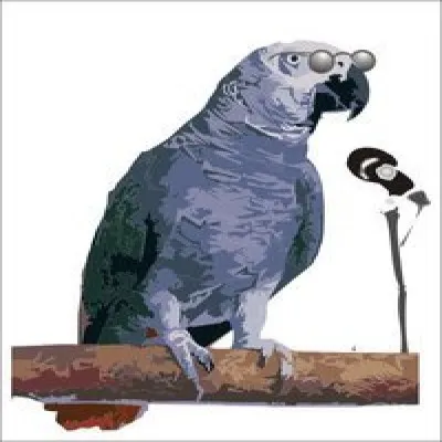 Live streaming Freedom Radio
