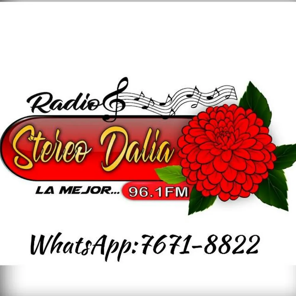 Live streaming Radio Stereo Dalia