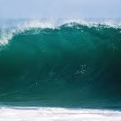 Radiowave NZ