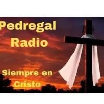 Pedregal Radio