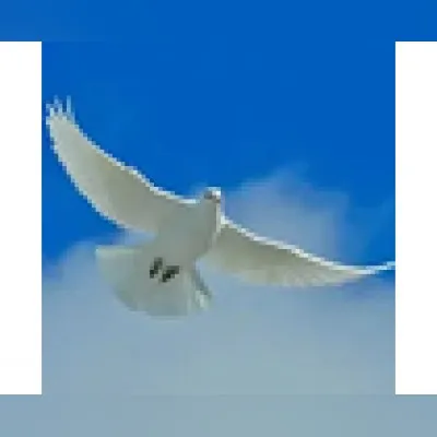 Live streaming Radio Pan de Vida