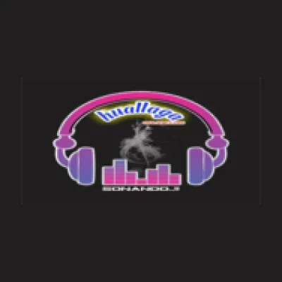 Live streaming huallagaonline.com