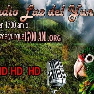 Live streaming Luz del Yunque