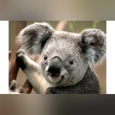 Live streaming Rádio Urano