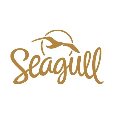 Live streaming Seagull discoteca