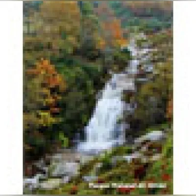 Live streaming Radio Alvao Vila Real