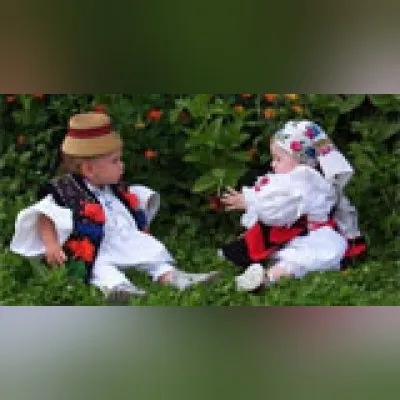Live streaming Floare_de_Lotus