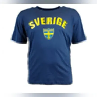 Sverigekanalen Direkt1