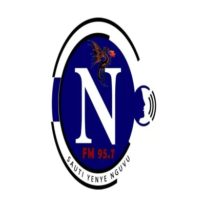 Live streaming N-FM Radio