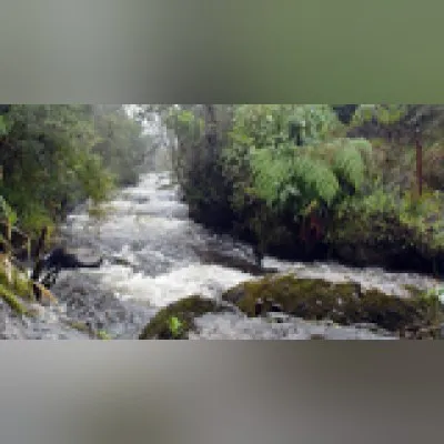 Live streaming Ondas del Río Guarápas