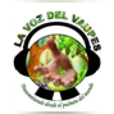 Live streaming La Voz del Vaupes