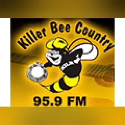 Live streaming Killer Bee Country