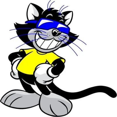 Live streaming Cat Country