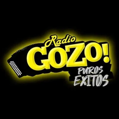 Live streaming Radio Gozo TX