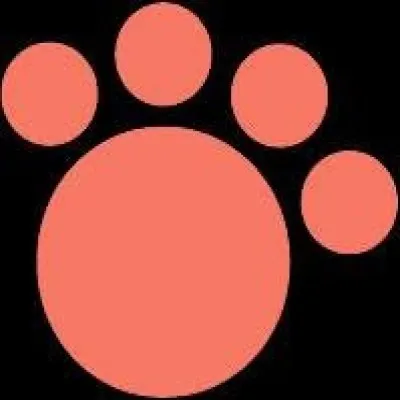 Live streaming The Fox