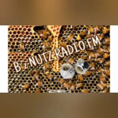 Live streaming B_z NUTZ RADIO FM