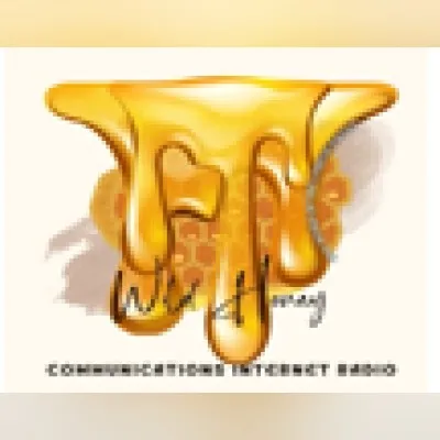Live streaming Wild Honey Christian Communications Internet Radio