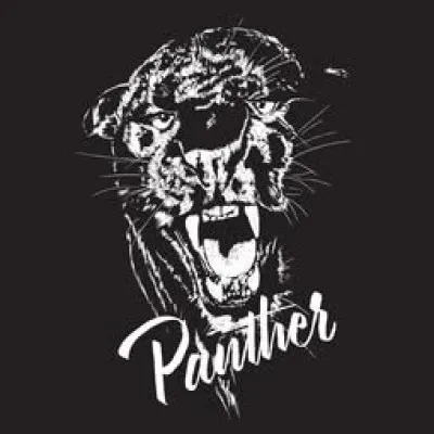Live streaming WPNT-DB Panther
