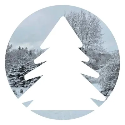 Live streaming The Lodge