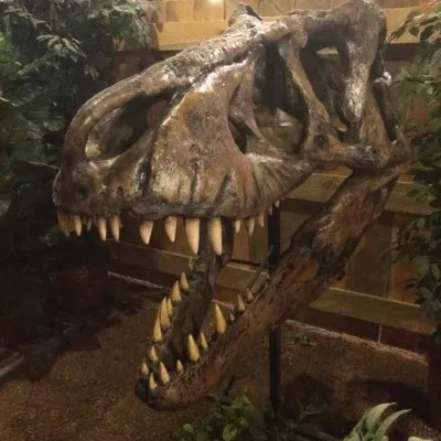 Live streaming KNKL Pirate Radio Sturgis