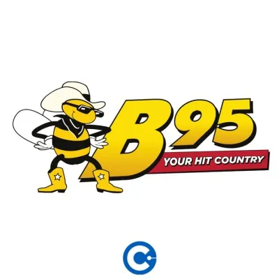 Live streaming B95